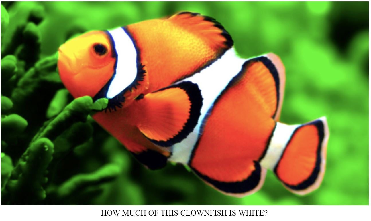 clownfish